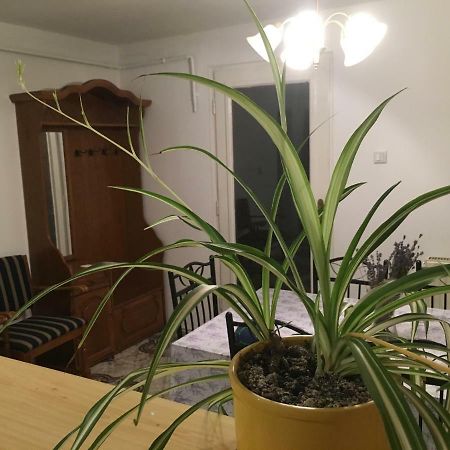 Levendula Apartmanház Apartman Sümeg Kültér fotó