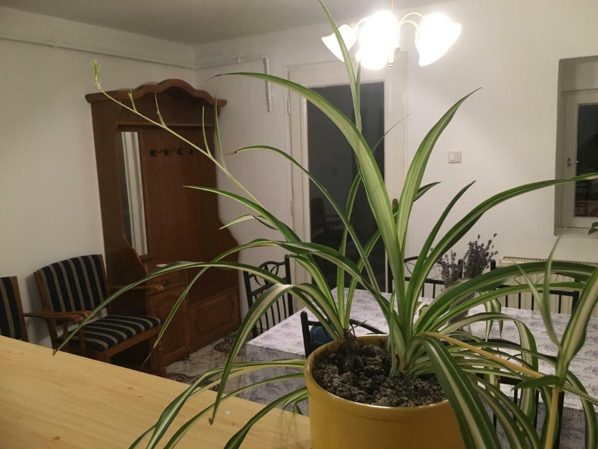 Levendula Apartmanház Apartman Sümeg Kültér fotó